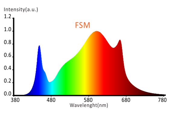 fullspectrum FSM